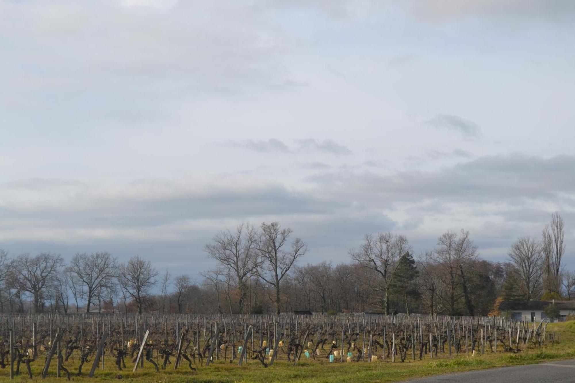 Maison Bertineau Proche Saint-Emilion Néac المظهر الخارجي الصورة